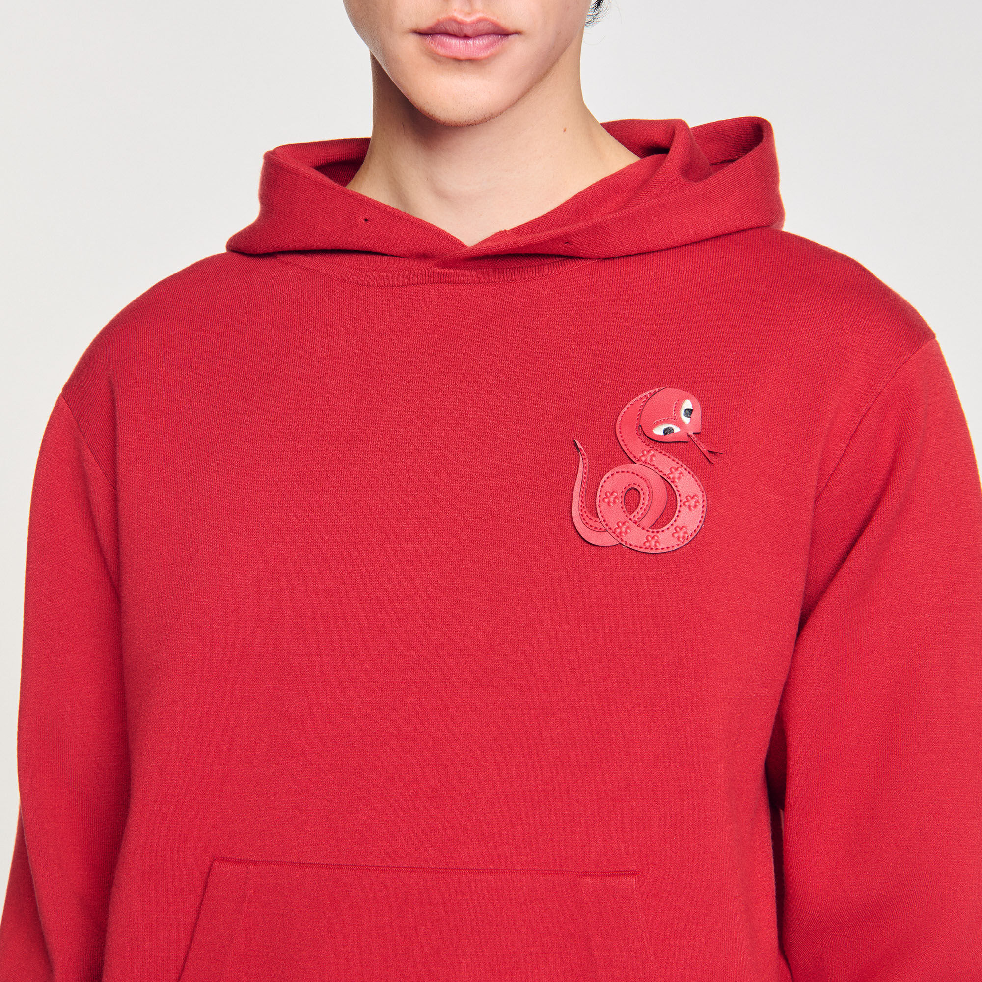Knit sweatshirt with snake detail