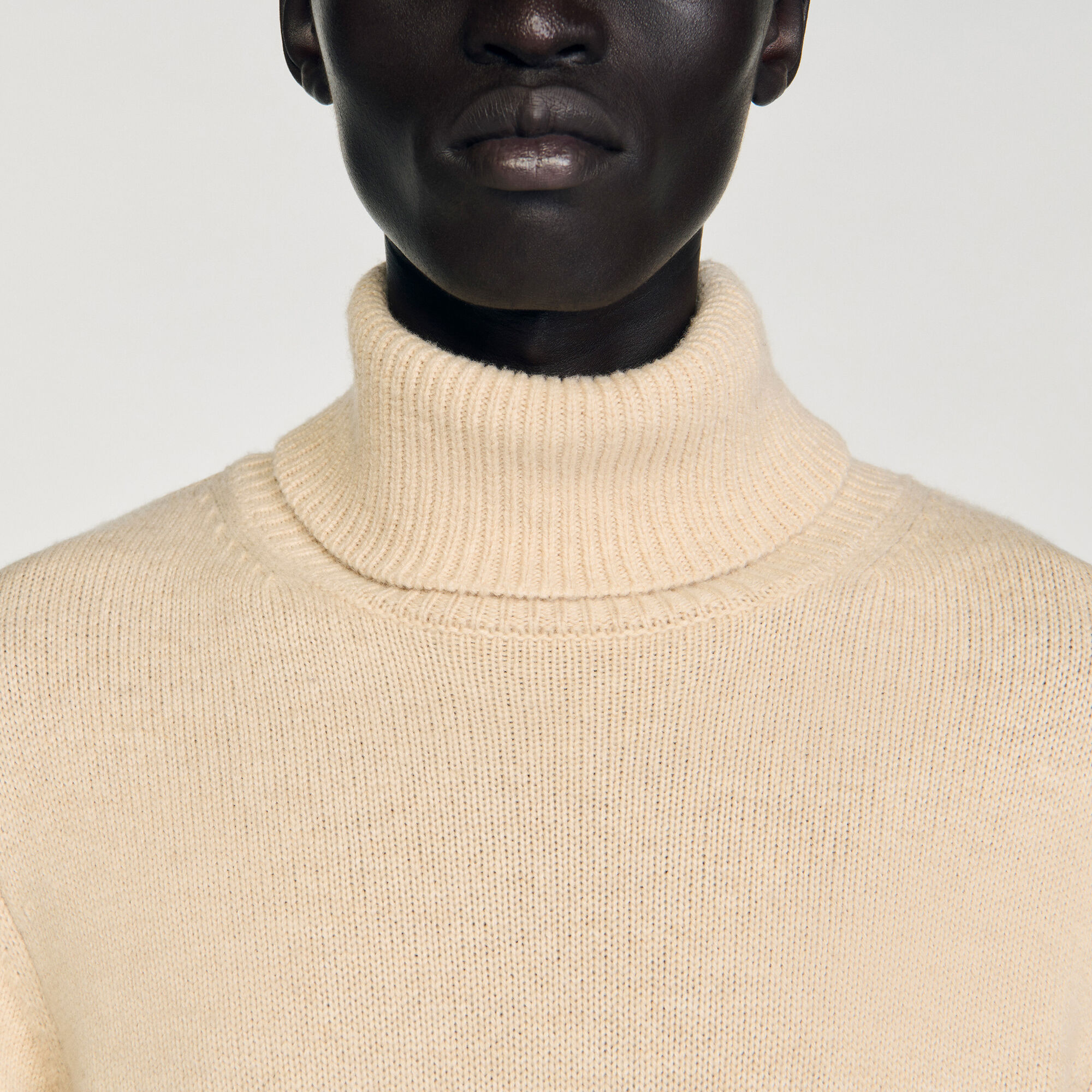 Wool and cashmere turtleneck