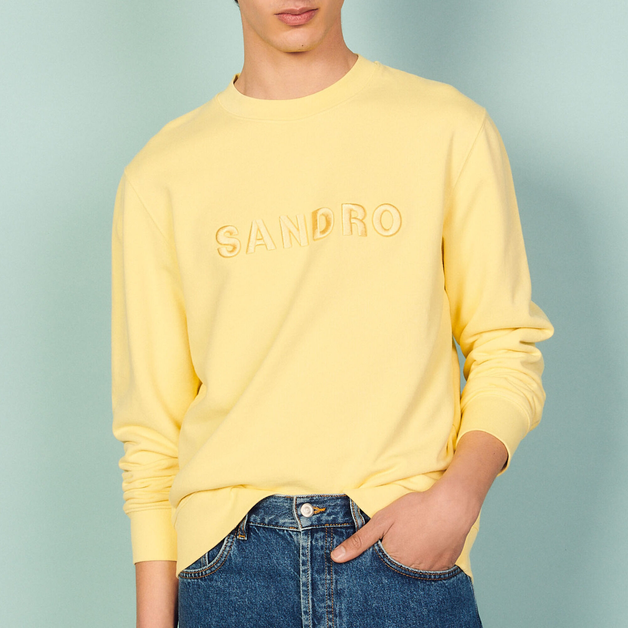 Sandro paris sweatshirt sale
