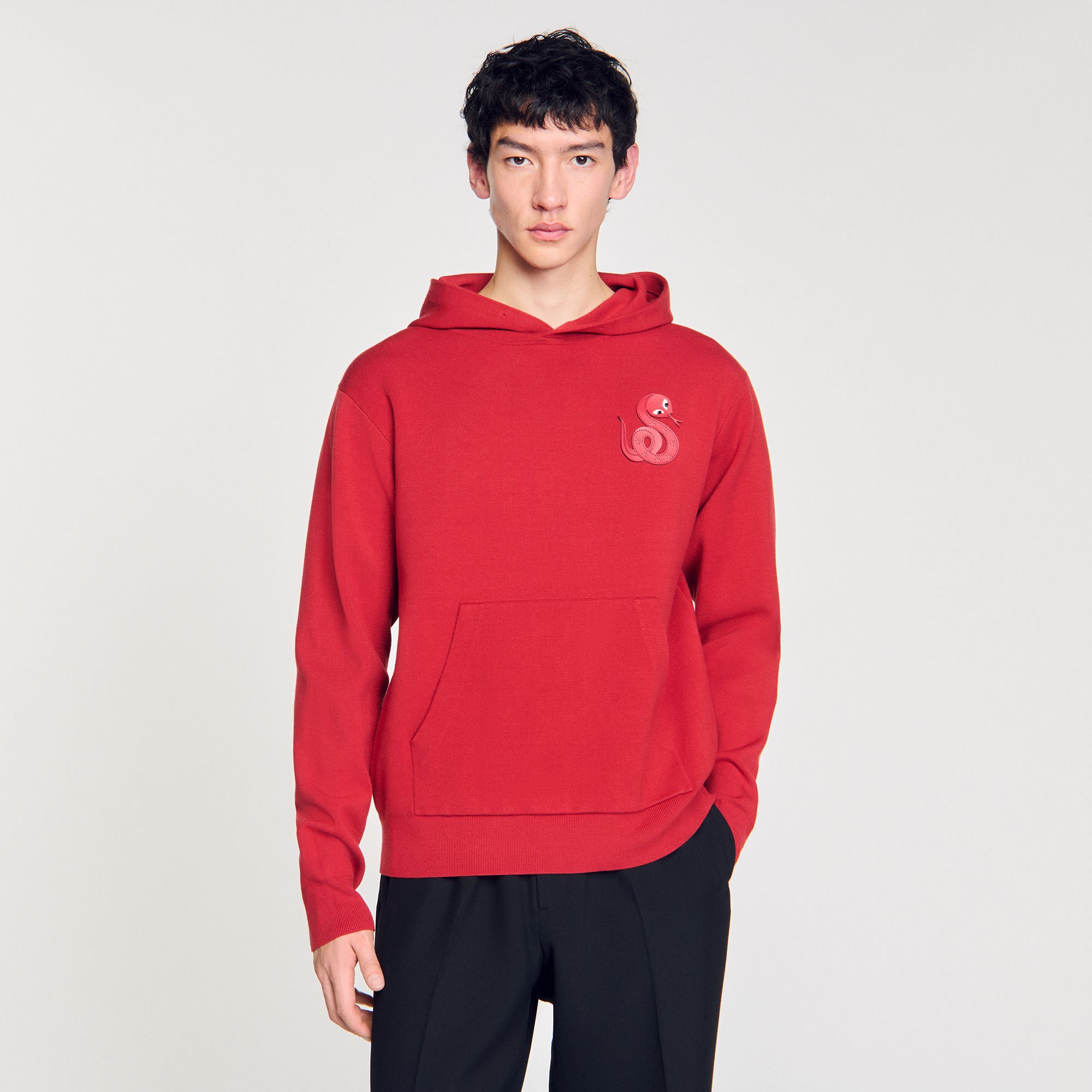 Knit sweatshirt with snake detail