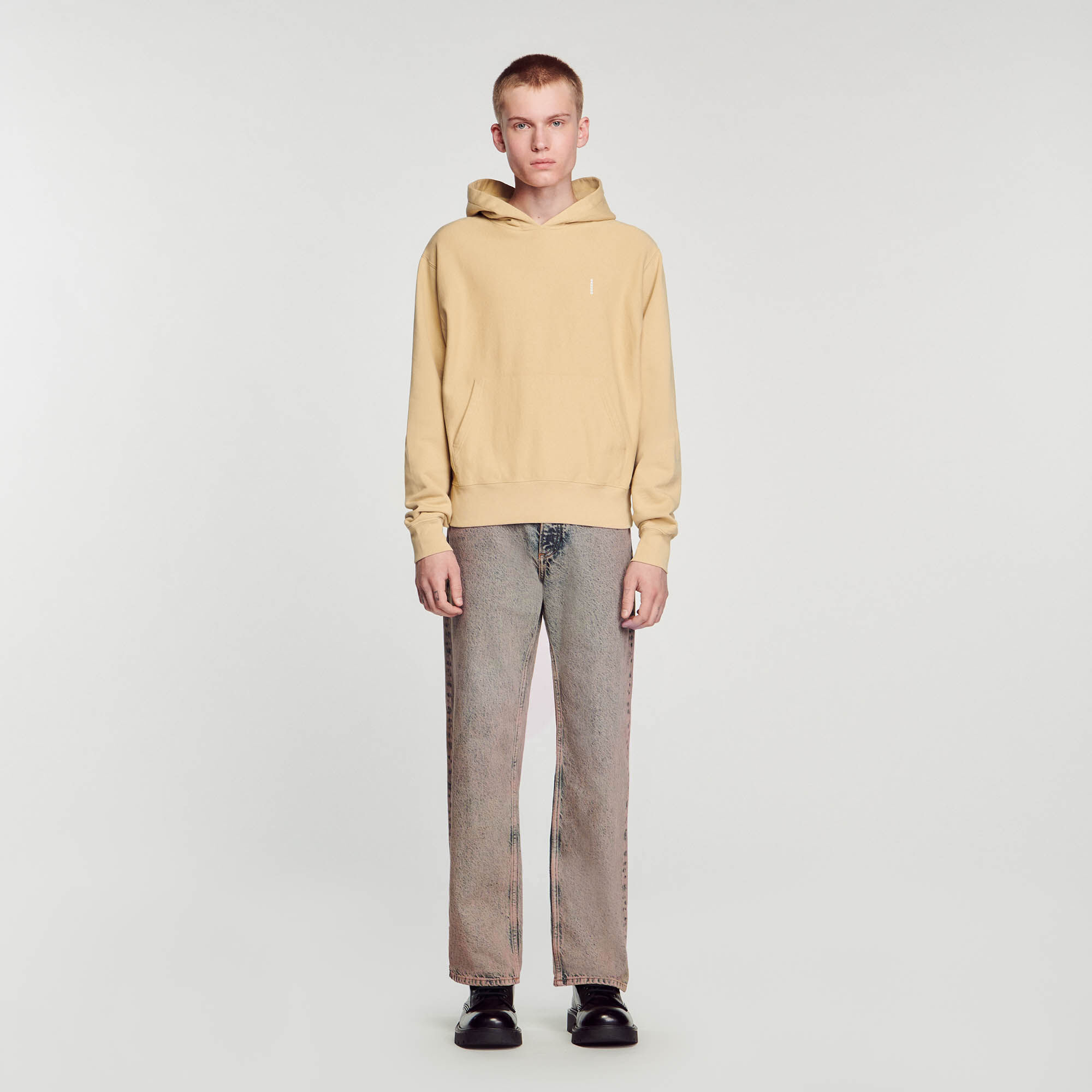 Sandro discount standard hoodie