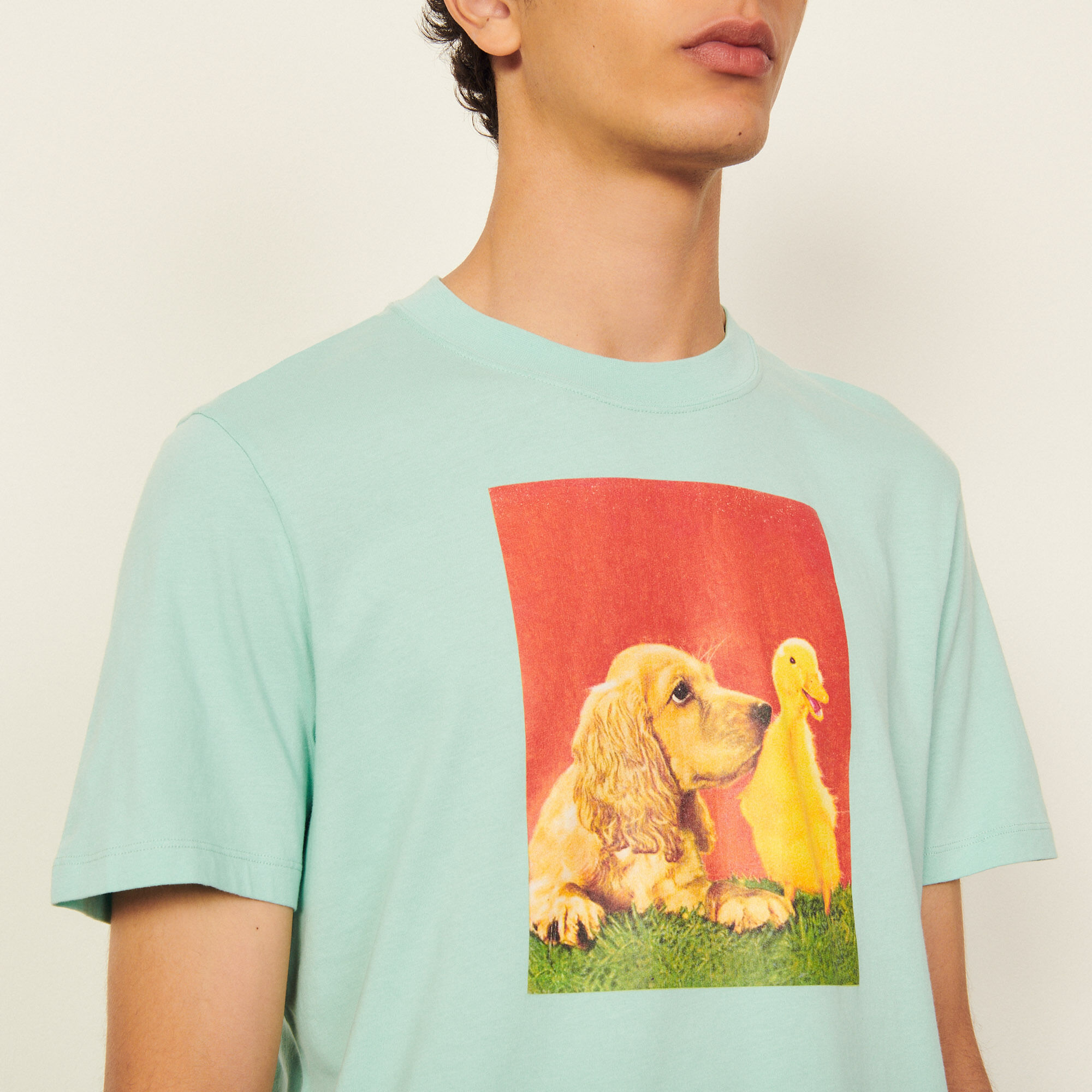 Cotton T shirt with imagery