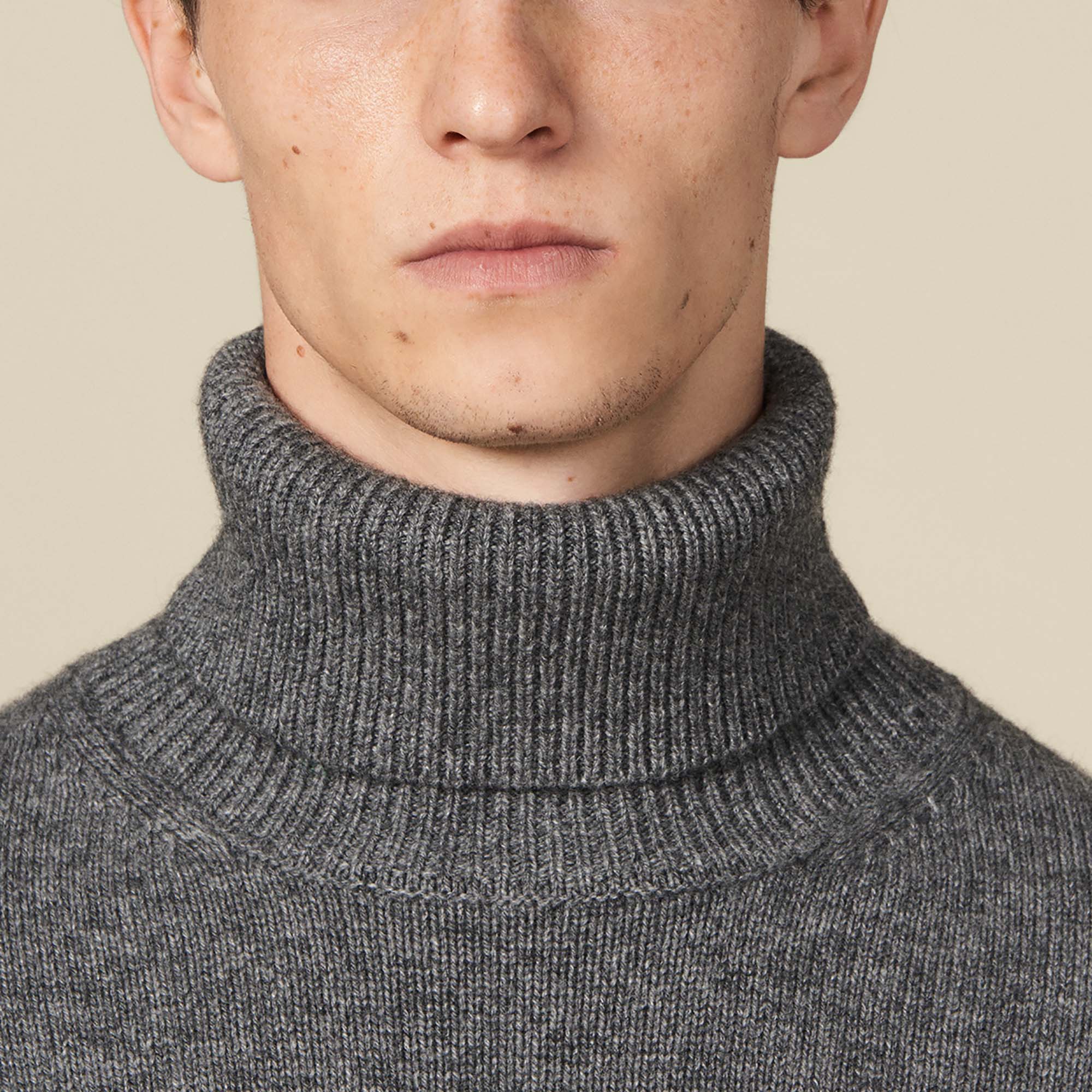 Roll neck wool and cashmere sweater - Sweaters & Cardigans | Sandro Paris